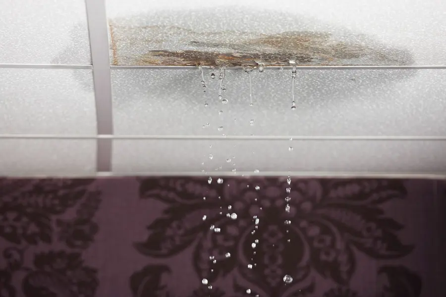 Ice dam leak through an upstairs ceiling in Big Lake, MN